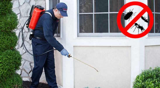Mengen Hamam Böceği İlaçlama böcek ilaçlama ve haşere kontrolü — ilaclama-tr.com